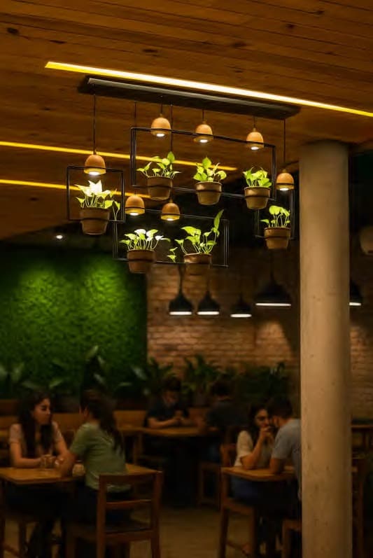 Planter Hanging