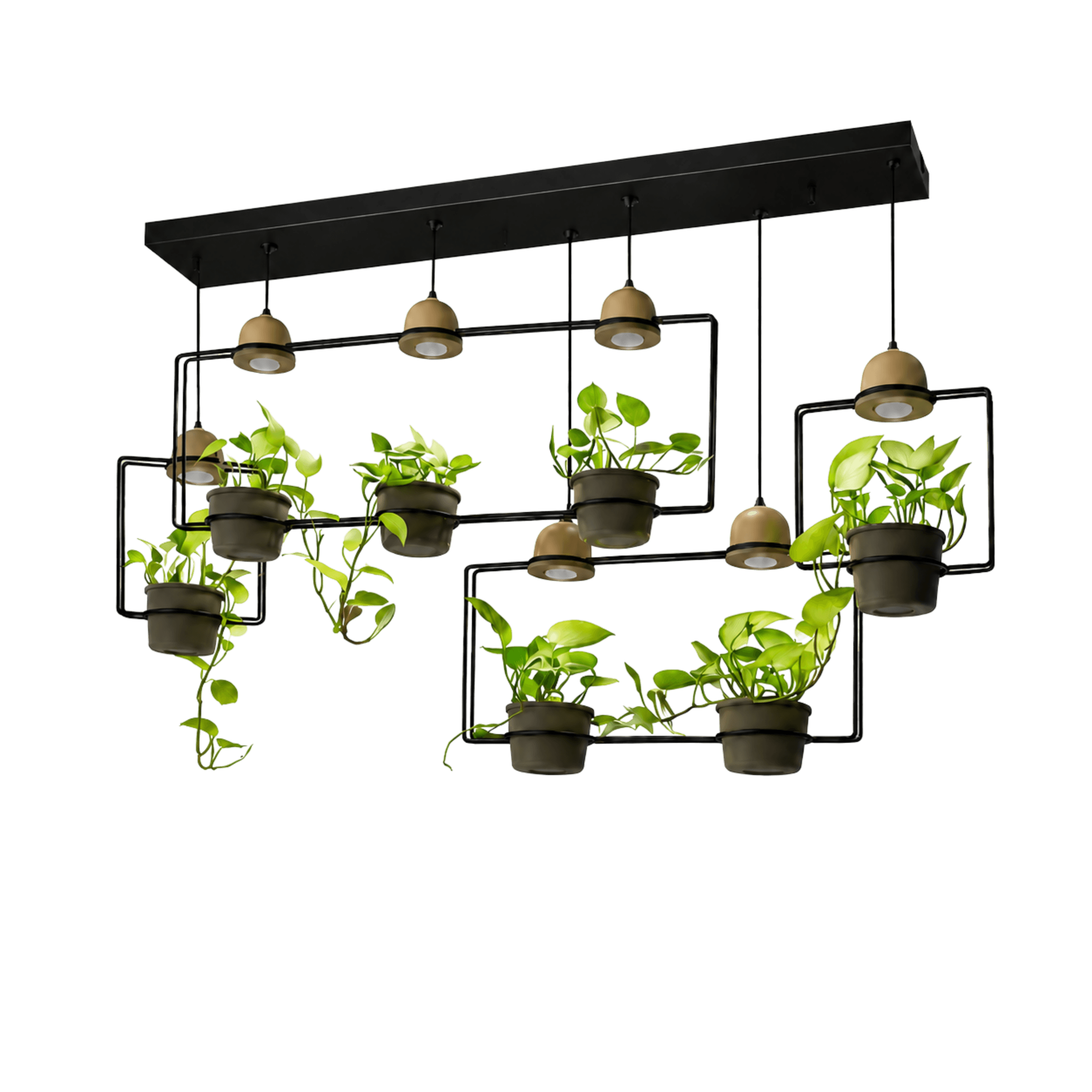 Planter Chandelier Light