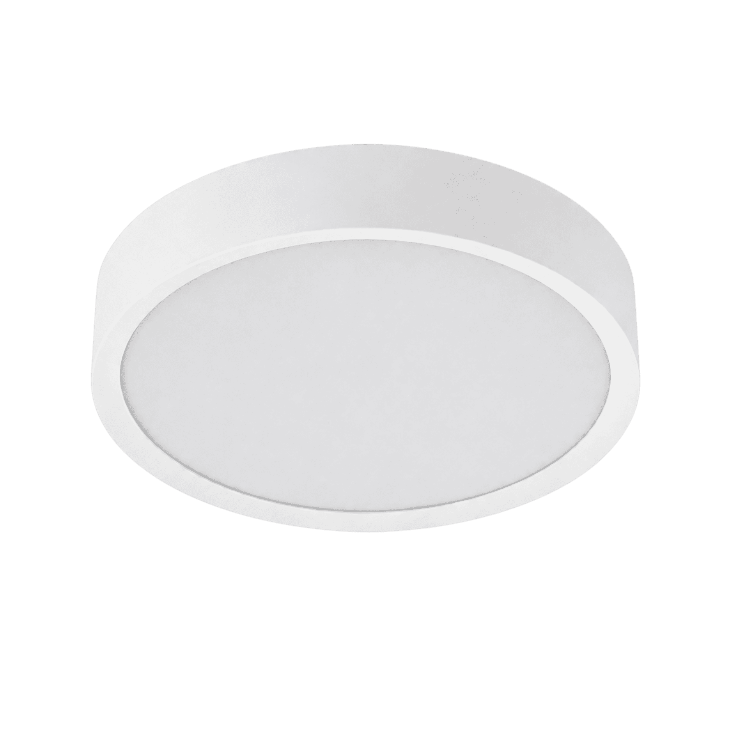 LitMeUp Smart Round LED Ceiling Light with Tuya App and Remote Control