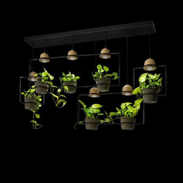 Planter Hanging