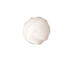 A5