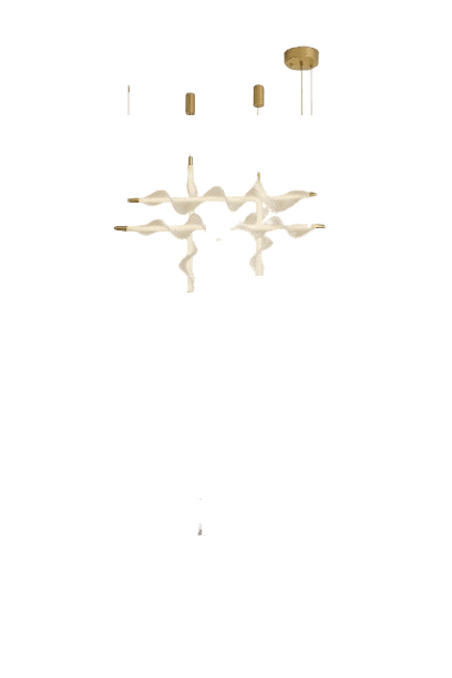 D123