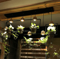 Planter Hanging view 2