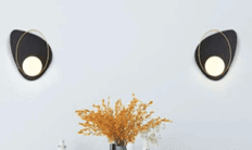 3881 L view 2